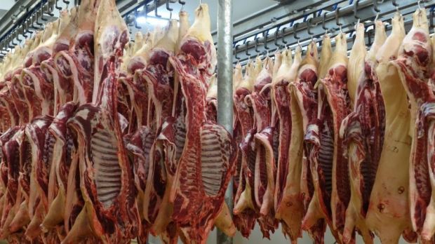In Belgien bestimmt aktuell die Afrikanische Schweinepest das Geschehen an den Schlachtvieh- und Fleischmärkten. In Belgien bestimmt aktuell die Afrikanische Schweinepest das Geschehen an den Schlachtvieh- und Fleischmärkten.