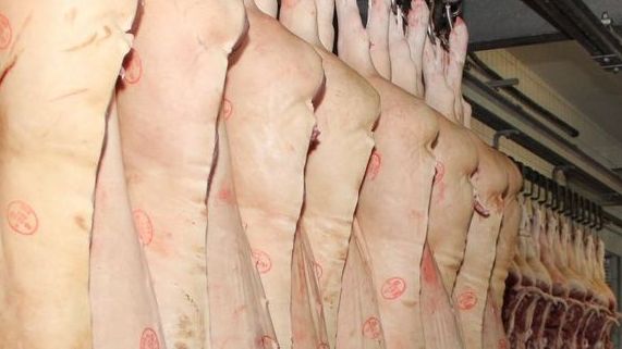Die Zahl der Schlachtungen von Schweinen liegt derzeit um etwa fünf Prozent unter dem Vorjahresniveau. Die Zahl der Schlachtungen von Schweinen liegt derzeit um etwa fünf Prozent unter dem Vorjahresniveau.