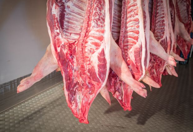 Schweinehälften im Kühlraum. Schweinehälften im Kühlraum.