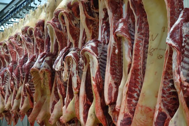 Schweinehälften Schweinehälften