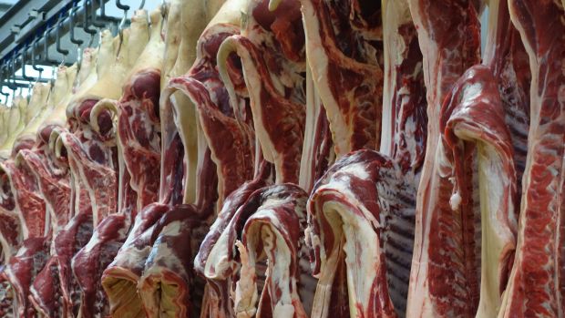 Hitzebedingt nur wenig schlachtreife Tiere verfügbar. Hitzebedingt nur wenig schlachtreife Tiere verfügbar.