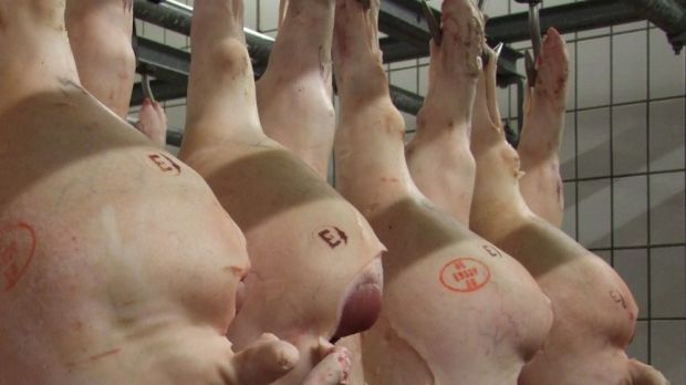 Die Erzeuger drängen schon Anfang der Woche auf weitere Preisaufschläge. Die Erzeuger drängen schon Anfang der Woche auf weitere Preisaufschläge.