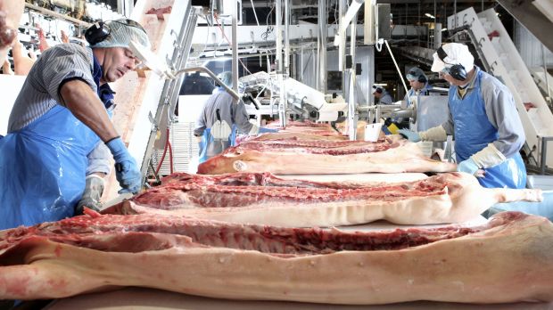 Zerlegung von Schweinehälften. Zerlegung von Schweinehälften.