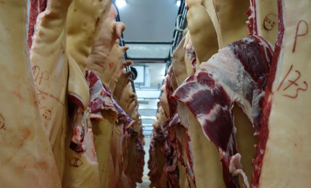 Die Notierung für Schlachtschweine hält dem Druck an den Schlachtvieh- und Fleischmärkten nicht stand. Die Notierung für Schlachtschweine hält dem Druck an den Schlachtvieh- und Fleischmärkten nicht stand.
