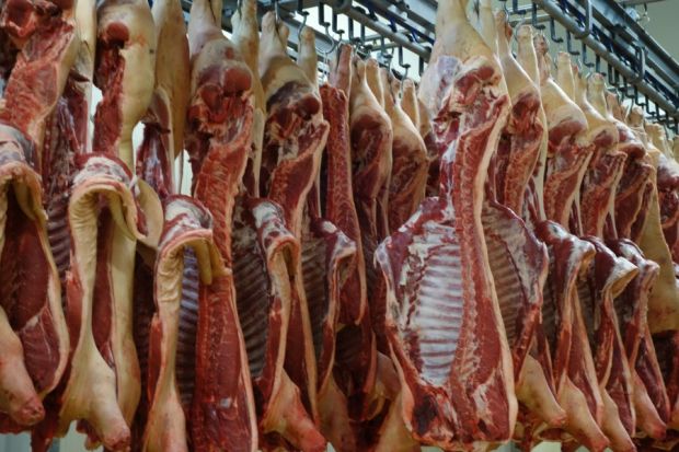 In Belgien gingen 2017 insgesamt 10,95 Mio. Schweine an die Haken. In Belgien gingen 2017 insgesamt 10,95 Mio. Schweine an die Haken.
