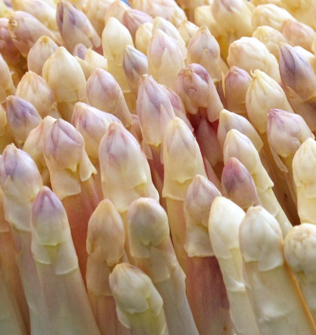 Spargel Spargel