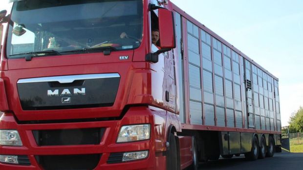 Deutsche Tiertransporte sind laut EU-Kommission korrekt. Deutsche Tiertransporte sind laut EU-Kommission korrekt.