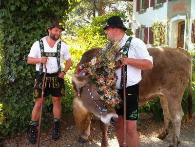 Viehscheid im Oberallgäu. Viehscheid im Oberallgäu.