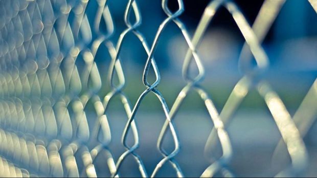 Frankreich errichtet ASP-Schutzzaun an belgischer Grenze. Frankreich errichtet ASP-Schutzzaun an belgischer Grenze.
