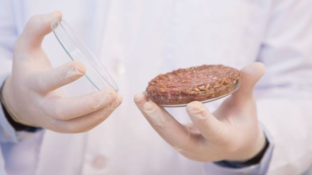 Fleisch aus der Petrischale. Fleisch aus der Petrischale.