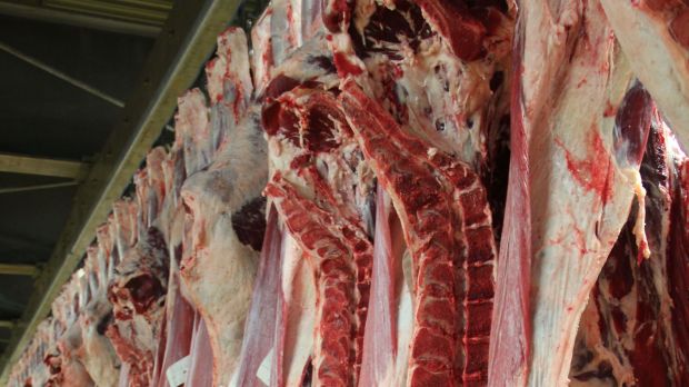 Seit dem Salmonellenfund in polnischem Rindfleisch müssen Lieferanten Unbedenklichkeitsberichte vorlegen. Seit dem Salmonellenfund in polnischem Rindfleisch müssen Lieferanten Unbedenklichkeitsberichte vorlegen.