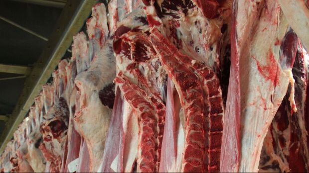Der Handel mit Rindfleisch kommt nicht in Schwung. Der Handel mit Rindfleisch kommt nicht in Schwung.