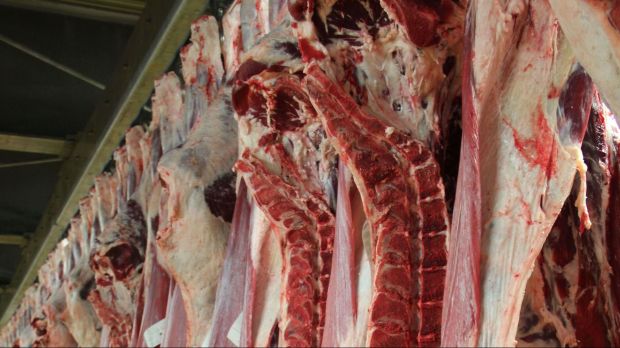 Die ausgeprägte Trockenheit in vielen Landesteilen Australiens ist für die größere Ausfuhrmenge an Rindfleisch verantwortlich. Die ausgeprägte Trockenheit in vielen Landesteilen Australiens ist für die größere Ausfuhrmenge an Rindfleisch verantwortlich.