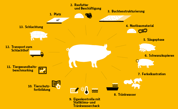 Kriterien des staatlichen Tierwohlkennzeichens für Schweine. Kriterien des staatlichen Tierwohlkennzeichens für Schweine.
