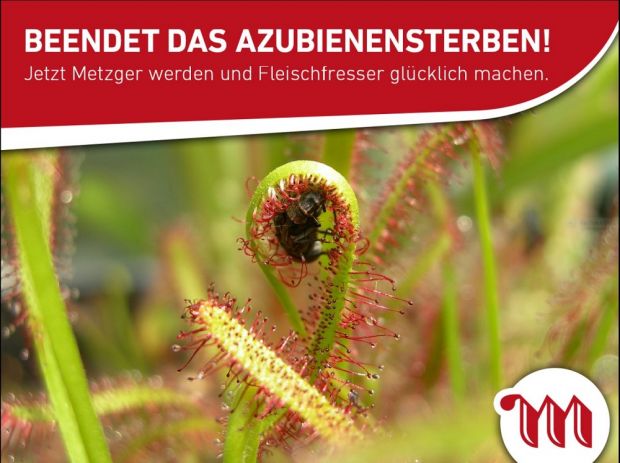 Immer mit einem Augenzwinkern: Eines der Motive aus der neuen Facebook-Kampagne des Landesverbands greift die Diskussion um das Bienensterben auf. Immer mit einem Augenzwinkern: Eines der Motive aus der neuen Facebook-Kampagne des Landesverbands greift die Diskussion um das Bienensterben auf.