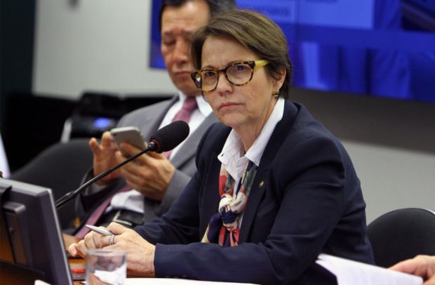 Die Agraringenieurin Tereza Cristina ist die neue brasilianische Landwirtschaftsministerin. Die Agraringenieurin Tereza Cristina ist die neue brasilianische Landwirtschaftsministerin.