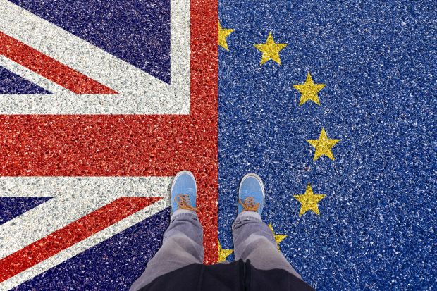 Irlands Bauernpräsident forderte den Landwirtschaftsminister und die EU-Kommission auf, ein Brexit-Notfallpaket mit umfassenden Markthilfen und direkten Subventionen für die Landwirte bereitzustellen. Irlands Bauernpräsident forderte den Landwirtschaftsminister und die EU-Kommission auf, ein Brexit-Notfallpaket mit umfassenden Markthilfen und direkten Subventionen für die Landwirte bereitzustellen.
