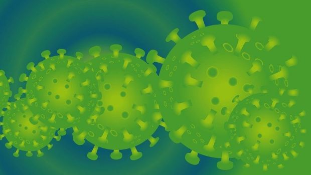Absagen von Großevents wegen des Coronavirus - auch Gastro-Messen sind davon betroffen, wie etwa die Prowein in Düsseldorf, die Halal Hannover oder die Deutschland-Gala des Guide Michelin. Absagen von Großevents wegen des Coronavirus - auch Gastro-Messen sind davon betroffen, wie etwa die Prowein in Düsseldorf, die Halal Hannover oder die Deutschland-Gala des Guide Michelin.
