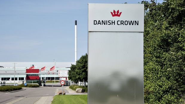Der Sektor Schwein, hier der Schlachthof in Horsens, entwickelte sich in dem dänischen Fleischkonzern deutlich besser als die Rinder-Sparte. Der Sektor Schwein, hier der Schlachthof in Horsens, entwickelte sich in dem dänischen Fleischkonzern deutlich besser als die Rinder-Sparte.