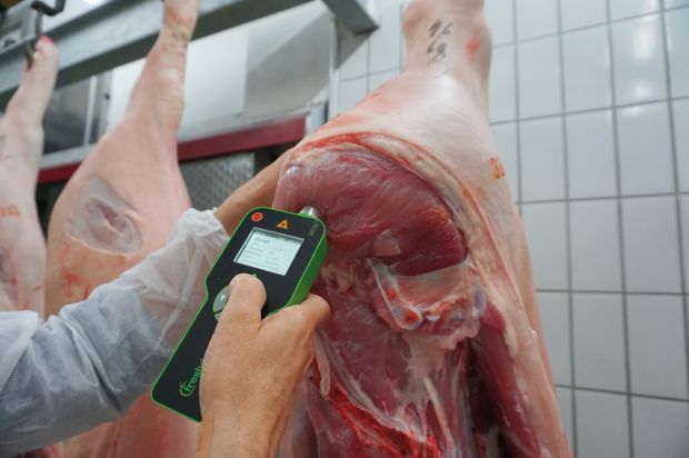 Mit dem Handmessgerät freshdetect lässt sich eine bakterielle Verunreinigung von Frischfleisch in Echtzeit feststellen.
Mit dem Handmessgerät freshdetect lässt sich eine bakterielle Verunreinigung von Frischfleisch in Echtzeit feststellen.