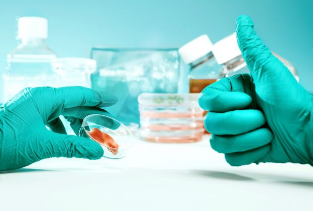 Ob sich Fleisch aus dem Inkubator durchsetzt, ist eine Frage der Akzeptanz bei Verbrauchern. Ob sich Fleisch aus dem Inkubator durchsetzt, ist eine Frage der Akzeptanz bei Verbrauchern.