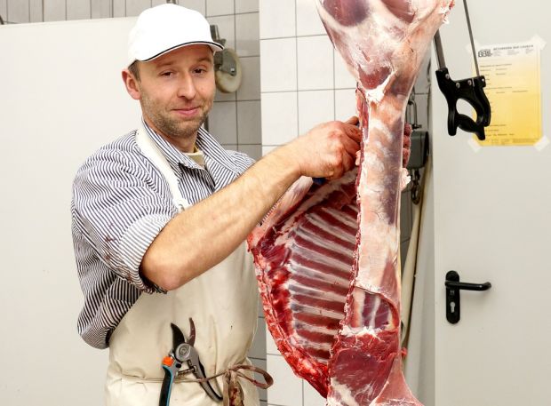 Dam- und Rotwild, gehören zu seinem Repertoire, manchmal auch Bisonbüffel und Muffelwild: Jörn Richter aus Frohburg setzt sein Handwerkskönnen breit gefächert ein. Dam- und Rotwild, gehören zu seinem Repertoire, manchmal auch Bisonbüffel und Muffelwild: Jörn Richter aus Frohburg setzt sein Handwerkskönnen breit gefächert ein.