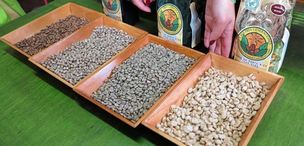 Auf die Herkunft, die Röstung und nicht zuletzt das Wasser kommt es an, wenn es um den optimalen Geschmack von Kaffee geht. Auf die Herkunft, die Röstung und nicht zuletzt das Wasser kommt es an, wenn es um den optimalen Geschmack von Kaffee geht.