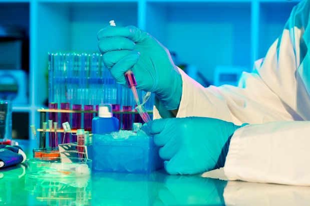 Vorbereitung von Proben für eine PCR-Analyse. Vorbereitung von Proben für eine PCR-Analyse.