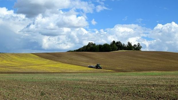 Die Landwirtschaft spielt beim Klimaschutz eine entscheidende Rolle. Die Landwirtschaft spielt beim Klimaschutz eine entscheidende Rolle.