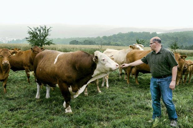 Ulrich Bayer bezieht Schlachtrinder und -schweine aus den Dörfern der umliegenden Mittelgebirge: Dem Taunus, dem Hunsrück, der Eifel und dem Westerwald. Ulrich Bayer bezieht Schlachtrinder und -schweine aus den Dörfern der umliegenden Mittelgebirge: Dem Taunus, dem Hunsrück, der Eifel und dem Westerwald.