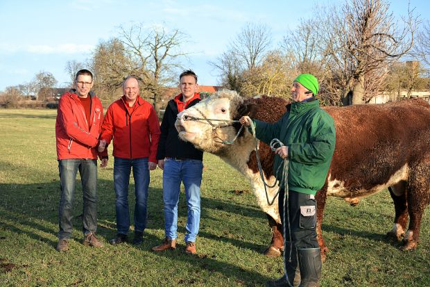 Mit ihrer Partnerschaft gewährleisten der Hereford-Züchter Matthias Schneider und die beiden Meister Andreas und Max Münch (von links), dass die Fleischerei nun ihren Fachgeschäften in Lommatzsch, Meißen und Radebeul Rindfleisch aus artgerechter Freilandhaltung in anbieten kann. Rechts: Rinderzüchter Jürgen Schubart. Mit ihrer Partnerschaft gewährleisten der Hereford-Züchter Matthias Schneider und die beiden Meister Andreas und Max Münch (von links), dass die Fleischerei nun ihren Fachgeschäften in Lommatzsch, Meißen und Radebeul Rindfleisch aus artgerechter Freilandhaltung in anbieten kann. Rechts: Rinderzüchter Jürgen Schubart.