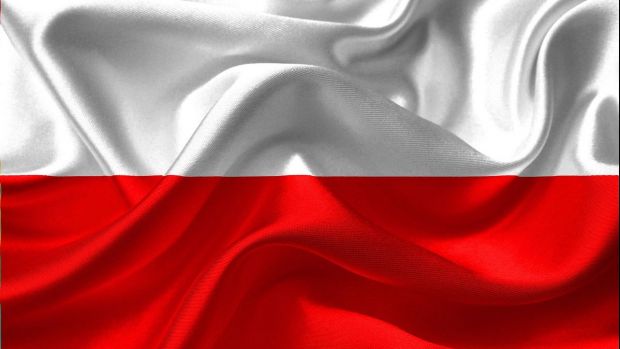 In Polen wächst die Sorge vor einer weiteren Ausbreitung der Afrikanischen Schweinepest (ASP). In Polen wächst die Sorge vor einer weiteren Ausbreitung der Afrikanischen Schweinepest (ASP).