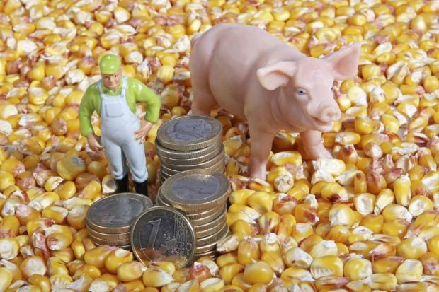 Der 50-prozentige Anstieg der Schweinepreise seit Anfang 2019 ist ein Argument für Preiserhöhungen, das die Kunden nachvollziehen können. Der 50-prozentige Anstieg der Schweinepreise seit Anfang 2019 ist ein Argument für Preiserhöhungen, das die Kunden nachvollziehen können.