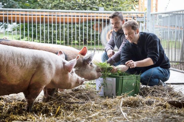 Start-up Rhein-Main Schwein: Gründer Christopher George (links) und Thomas Flechel kredenzen Kräuter der „Grie Soß“. Start-up Rhein-Main Schwein: Gründer Christopher George (links) und Thomas Flechel kredenzen Kräuter der „Grie Soß“.