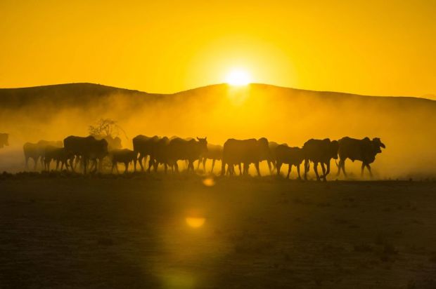 Gegen den allgemeinen Trend konnte Namibia seine Ausfuhren in die Europäische Union deutlich steigern. Gegen den allgemeinen Trend konnte Namibia seine Ausfuhren in die Europäische Union deutlich steigern.