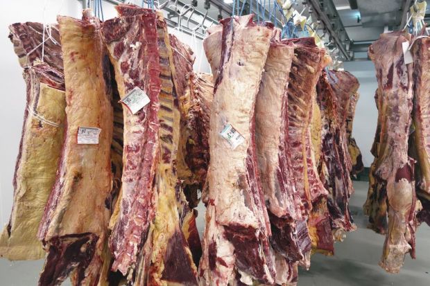 Fleisch ist wieder trendy. Die Wertschätzung für Qualitäten von Rind, Schwein und Geflügel sowie Fleischwaren und Wurst steigt bei vielen Verbrauchern. Fleisch ist wieder trendy. Die Wertschätzung für Qualitäten von Rind, Schwein und Geflügel sowie Fleischwaren und Wurst steigt bei vielen Verbrauchern.