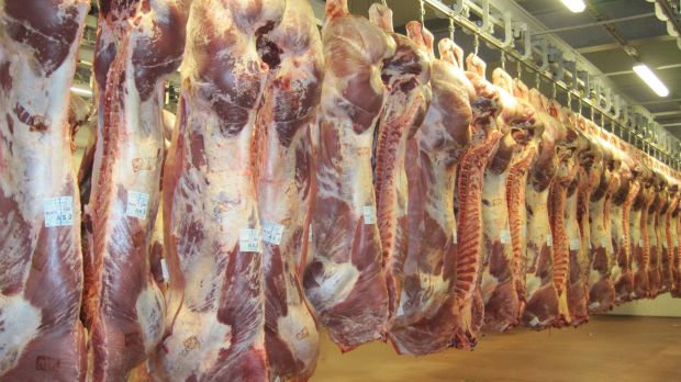Der belgische Rindfleischexport hat zwischen Januar unf Juni 2019 Federn lassen müssen. Der belgische Rindfleischexport hat zwischen Januar unf Juni 2019 Federn lassen müssen.