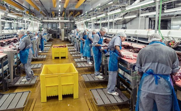 Die Mitarbeiter von Danish Crown kommen zur Arbeit und ermöglichen eine weitgehend reibungslose Produktion. Die Mitarbeiter von Danish Crown kommen zur Arbeit und ermöglichen eine weitgehend reibungslose Produktion.