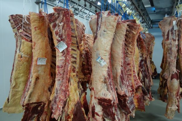Hochpreisige Rinderrücken lassen ich momentan nur schleppend vermarkten. Gefragt ist günstiges Vorderfleisch. Hochpreisige Rinderrücken lassen ich momentan nur schleppend vermarkten. Gefragt ist günstiges Vorderfleisch.