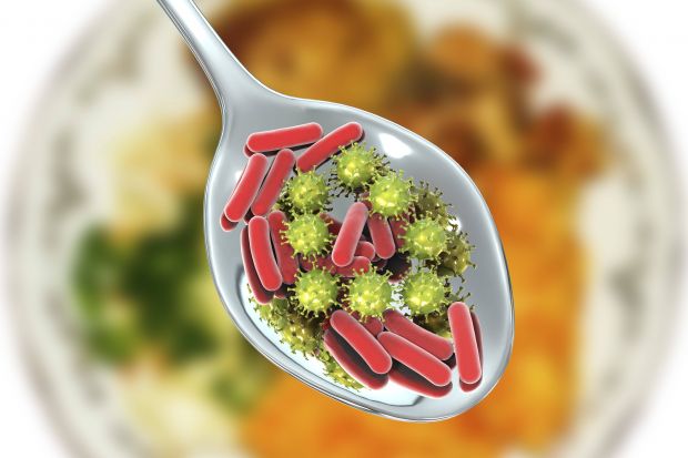 Löwenanteil bei der Salmonella entfiel auf die Slowakei, Spanien und Polen. Löwenanteil bei der Salmonella entfiel auf die Slowakei, Spanien und Polen.