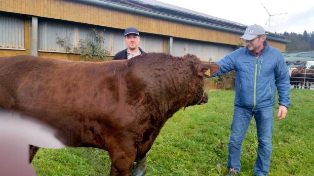 Landwirt Otto Greim (links) zieht Bio-Angus-Rinder auf. Metzgermeister Edwin Schimmel informiert sich oft persönlich bei seinem Lieferanten. Landwirt Otto Greim (links) zieht Bio-Angus-Rinder auf. Metzgermeister Edwin Schimmel informiert sich oft persönlich bei seinem Lieferanten.