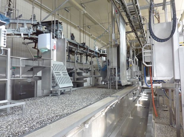 Das Unternehmen wird derzeit sukzessive modernisiert und auf reine Schweineschlachtung umgestellt. Das Unternehmen wird derzeit sukzessive modernisiert und auf reine Schweineschlachtung umgestellt.