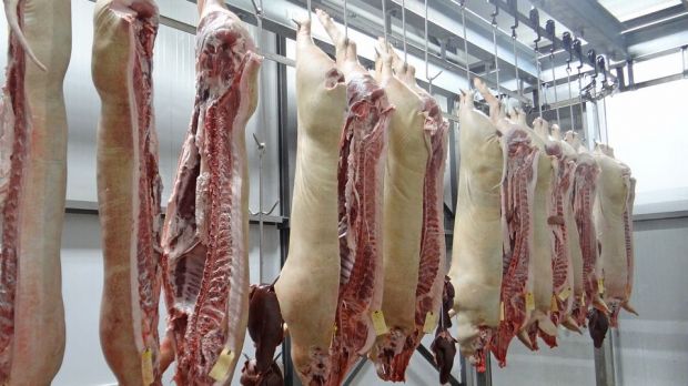Schweinehälften Schweinehälften
