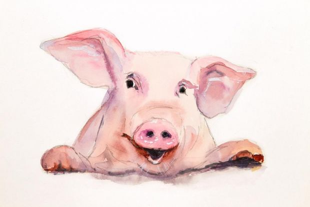 Eine neu entwickelte, wertschätzende Sprache soll wieder positive Assoziationen mit dem Schweinefleisch hervorrufen. Eine neu entwickelte, wertschätzende Sprache soll wieder positive Assoziationen mit dem Schweinefleisch hervorrufen.