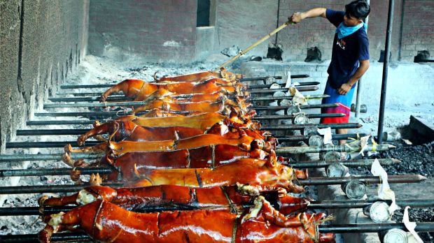 Eine Ausbreitung der Afrikanischen Schweinepest (ASP) auf weitere Inseln könnte auf den Philippinen zu weiteren Bestandsverlusten und einem Rückgang der Produktion führen. Eine Ausbreitung der Afrikanischen Schweinepest (ASP) auf weitere Inseln könnte auf den Philippinen zu weiteren Bestandsverlusten und einem Rückgang der Produktion führen.