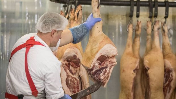 Die Produktion von Schweinefleisch scheint in Russland noch nicht ihren Zenit erreicht zu haben. Die Produktion von Schweinefleisch scheint in Russland noch nicht ihren Zenit erreicht zu haben.