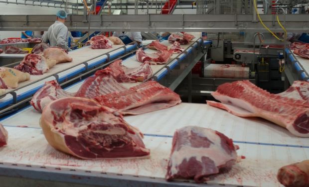 Zerlegung von Schweinefleisch. Verarbeitungsware wird aktuell knapp. Zerlegung von Schweinefleisch. Verarbeitungsware wird aktuell knapp.