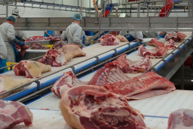 Zerlegung von Schweinefleisch Zerlegung von Schweinefleisch