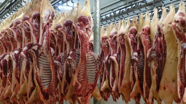 Die ASP hat in China offenbar noch nicht zu einem spürbaren Anstieg der Verbraucherpreise für Schweinefleisch geführt. Die ASP hat in China offenbar noch nicht zu einem spürbaren Anstieg der Verbraucherpreise für Schweinefleisch geführt.