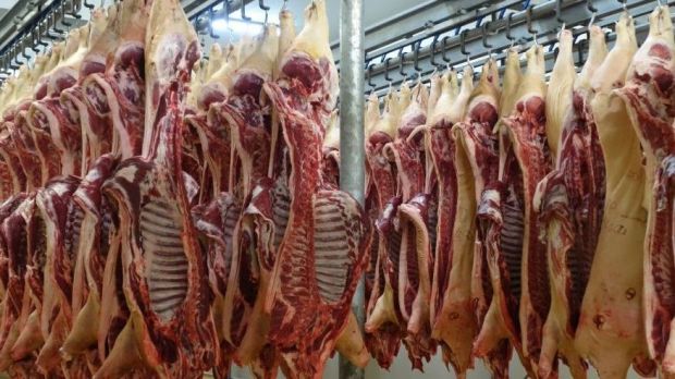 Die ASP könnte in China zu erhöhten Schweinefleischimporten führen. Die ASP könnte in China zu erhöhten Schweinefleischimporten führen.